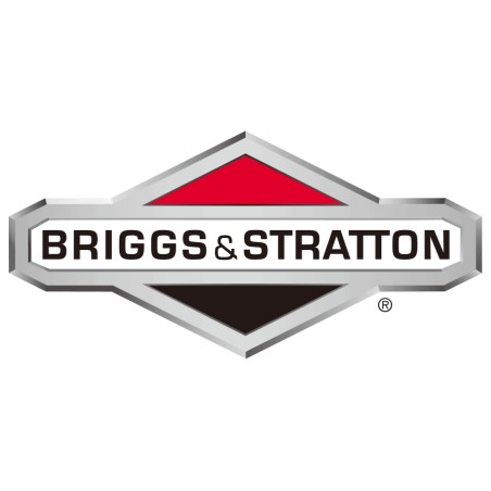 Molla regolatore ORIGINALE BRIGGS & STRATTON 691851 | NewgardenParts.com