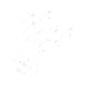 VITE TTQST 8X80 DIN 603 S/D ZB N05007 ORIGINALE BLUE BIRD
