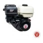 Motore completo benzina ZANETTI ZBM420DEV albero orizz.conico d24 av. elettrico