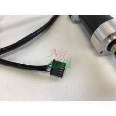 Ambrogio Motorreduzierer (bürstenlos – Getriebemotor): 042Z22400A_R | NewgardenParts.com