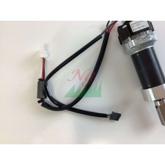 Ambrogio Motorreduzierer (bürstenlos – Getriebemotor): 042Z22400A_R | NewgardenParts.com