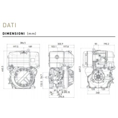 Motore diesel LOMBARDINI 15LD350 4 tempi motocoltivatore TWIST9DS 02010623 | NewgardenParts.com