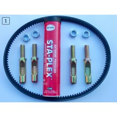 Kit de servicio 380204 | NewgardenParts.com