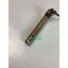 Perno fissaggio ORIGINALE GOLDONI 00003537 | NewgardenParts.com