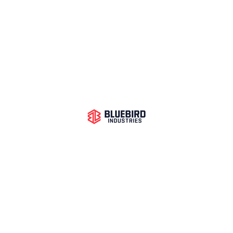 MOTORE 1P65FN WORLD WD1P65FN ORIGINALE BLUE BIRD