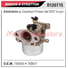 Vergaser B&S Rasenmäher QUANTUM power ab 2007 R120715 | NewgardenParts.com
