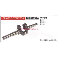 Albero motore BRIGGS&STRATTON motore tagliaerba rasaerba tosaerba 110600 020344 | NewgardenParts.com