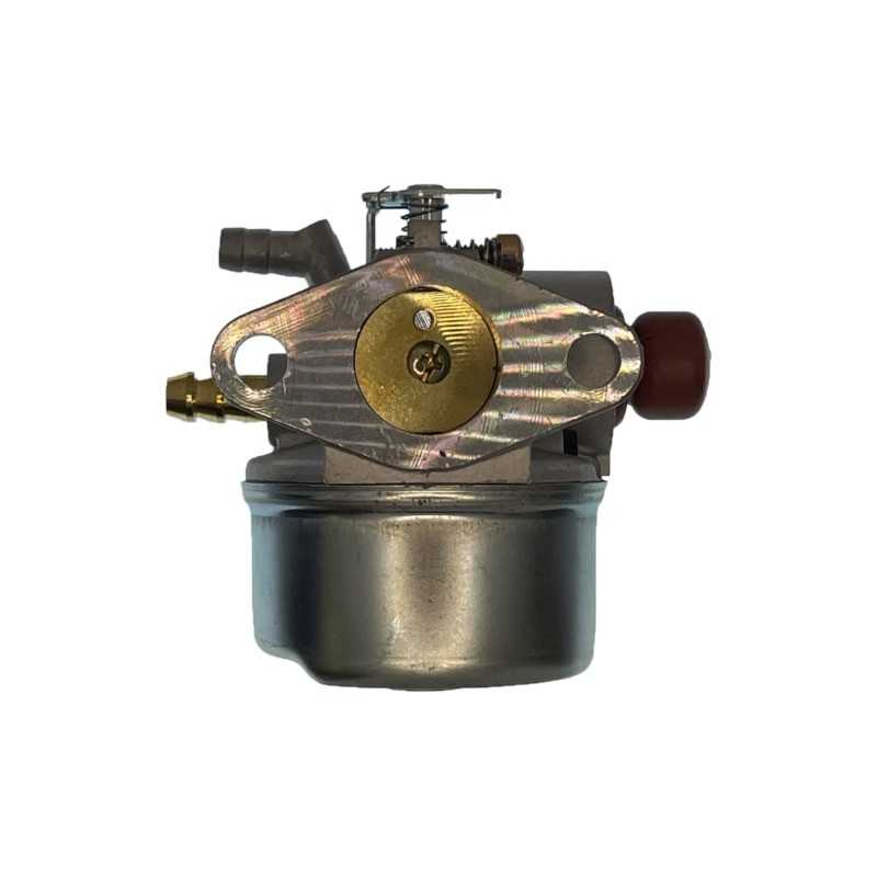 Motor compatible carburador TECUMSEH AG 0440199
