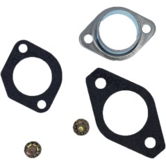 Carburettor compatible engine TECUMSEH AG 0440200 | NewgardenParts.com