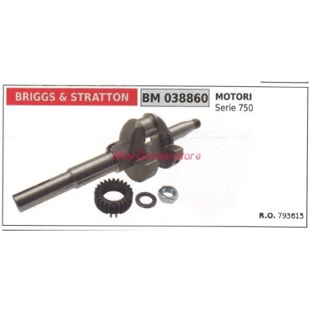 Albero motore BRIGGS&STRATTON motore tagliaerba rasaerba tosaerba 750 038860 | NewgardenParts.com