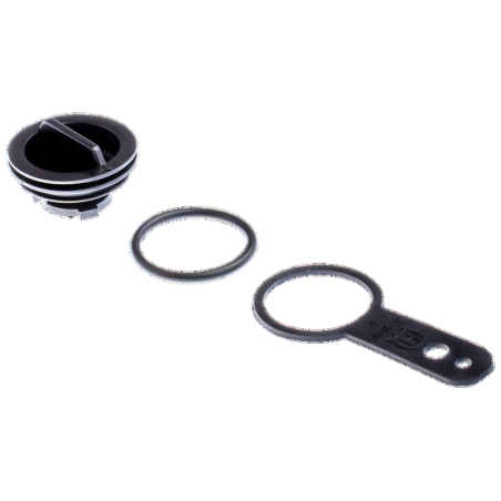 Zündkerzen-Set 581621201 Original Husqvarna | NewgardenParts.com