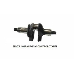 Albero motore DIESEL LOMBARDINI 15LD500 RUGGERINI RY120 1051.354 D87.02.050A | NewgardenParts.com