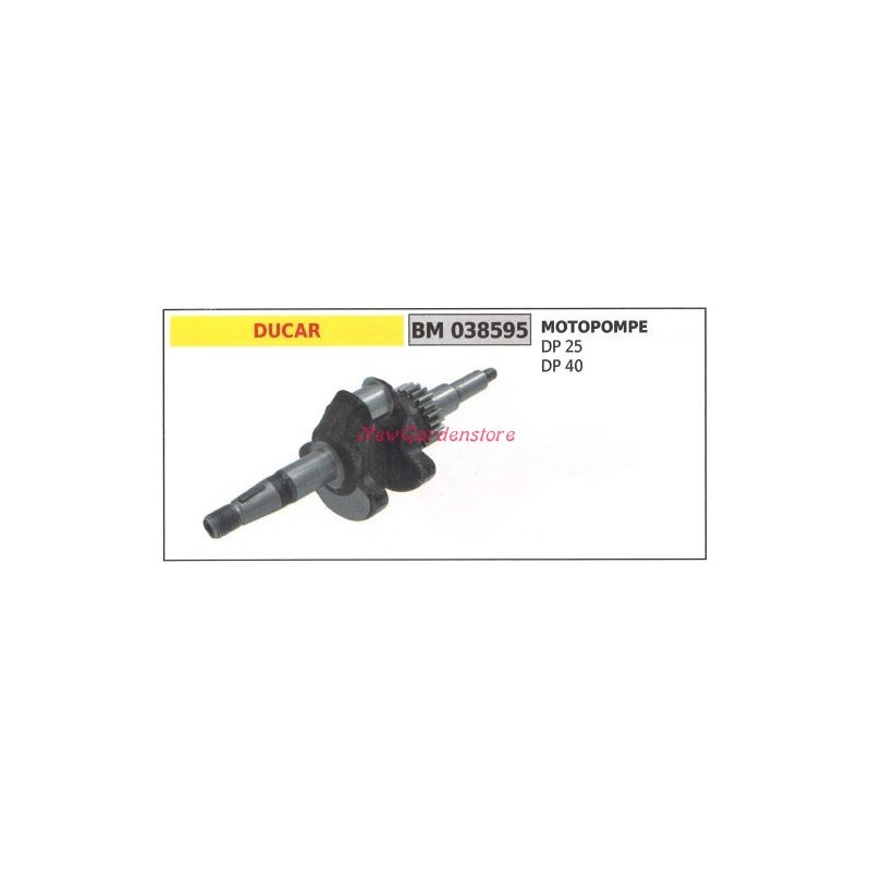 Kurbelwelle DUCAR Motor Motorpumpe DP 25 40 038595