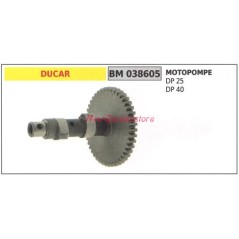 Albero motore DUCAR motore motopompa DP 25 40 038605 | NewgardenParts.com