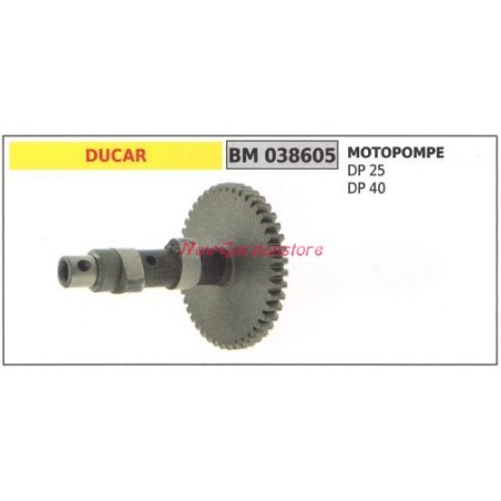 Albero motore DUCAR motore motopompa DP 25 40 038605 | NewgardenParts.com