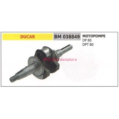 Albero motore DUCAR motore motopompa DP 80 DPT 80 038849 | NewgardenParts.com