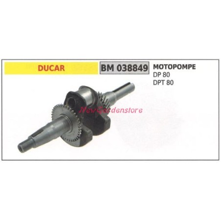 Albero motore DUCAR motore motopompa DP 80 DPT 80 038849 | NewgardenParts.com