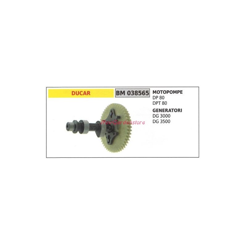 Albero motore DUCAR motore motopompa DP 80 DPT 80 generatore DG 3000 3500 038565