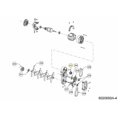 6020160 6020160 ORIGINALE MTD | NewgardenParts.com