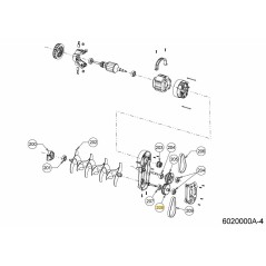 6020164 6020164 ORIGINALE MTD | NewgardenParts.com