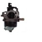 Carburateur moteur 4 temps tracteur tondeuse WBE0704 GGP 221975 118550252/0