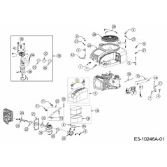 AIR FILTER LOCK NUT 751-14466 ORIGINAL MTD | NewgardenParts.com