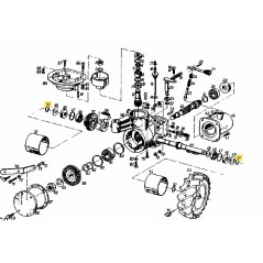 Anneau de retenue 28.3591.22 ORIGINAL MTD | NewgardenParts.com