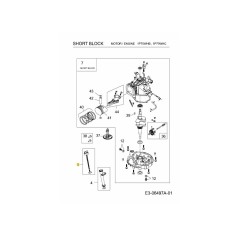 Ölmessstab 751-11764 Original MTD | NewgardenParts.com