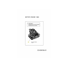 MOTORE B B&amp-S 600 SERIE E 150CC 752B0014H1 ORIGINALE MTD