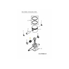Roulement à aiguilles KM-000655 d'origine MTD | NewgardenParts.com