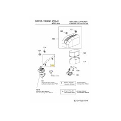KIT DE CONDUITE DE CARBURANT 751-11336 ORIGINAL MTD | NewgardenParts.com