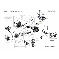 KIT DE LÍNEA DE COMBUSTIBLE 751-10918 ORIGINAL MTD | NewgardenParts.com