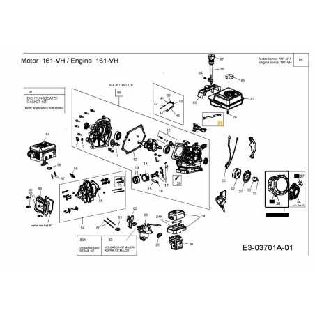 Kit de conduite de carburant 751-10918 d'origine MTD | NewgardenParts.com