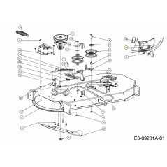 BFL DIS 731-10629A ORIGINALE MTD | NewgardenParts.com