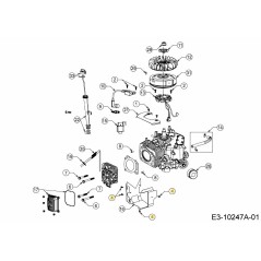 BULLONE M5X10 710-05315 ORIGINALE MTD