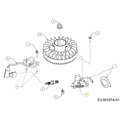Ressort de frein 732-05255 d'origine MTD | NewgardenParts.com