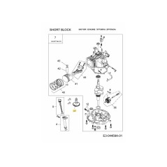 Albero a camme 751-11631 ORIGINALE MTD | NewgardenParts.com
