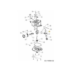 ALBERO A CAMME ASM (INGRANAGGIO IN PLASTICA) 751-18628A ORIGINALE MTD | NewgardenParts.com