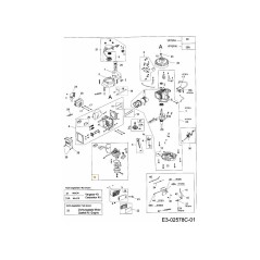 CONJUNTO DE CARBURADOR 751-10310 ORIGINAL MTD | NewgardenParts.com