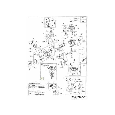 CONJUNTO DE CARBURADOR 751-10310 ORIGINAL MTD | NewgardenParts.com