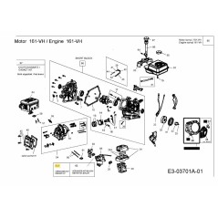 KIT CARBURATORE PER 161VH 751-11048 ORIGINALE MTD | NewgardenParts.com