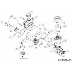 Carburatore con guarnizioni 651-05337 ORIGINALE MTD | NewgardenParts.com