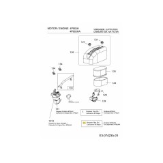 KIT CARBURATORE MAJOR 751-14179 ORIGINALE MTD | NewgardenParts.com