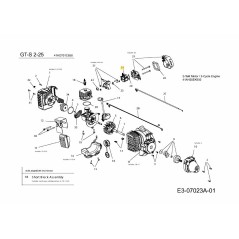 Carburatore con guarnizioni 753-06190 ORIGINALE MTD | NewgardenParts.com