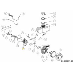 Carburatore con guarnizioni 751-14672 ORIGINALE MTD | NewgardenParts.com