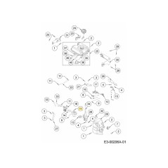 Vergaser 751-15162 Original MTD | NewgardenParts.com
