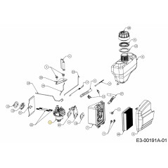 CARBURATORE 651-05531 ORIGINALE MTD | NewgardenParts.com