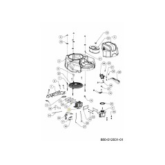 CARBURATORE 651-05588B ORIGINALE MTD | NewgardenParts.com