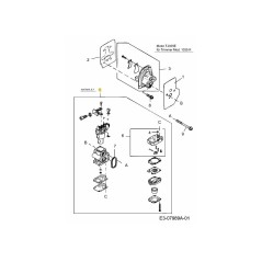 Vergaser mit Dichtungen KM-003817 ORIGINAL MTD