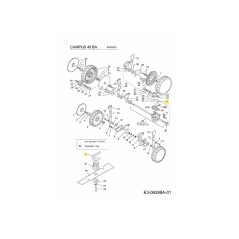 Correa trapezoidal SG-2011370 ORIGINAL MTD | NewgardenParts.com